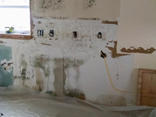 Mold Remediation and Restoration Services - Ocean City, MD