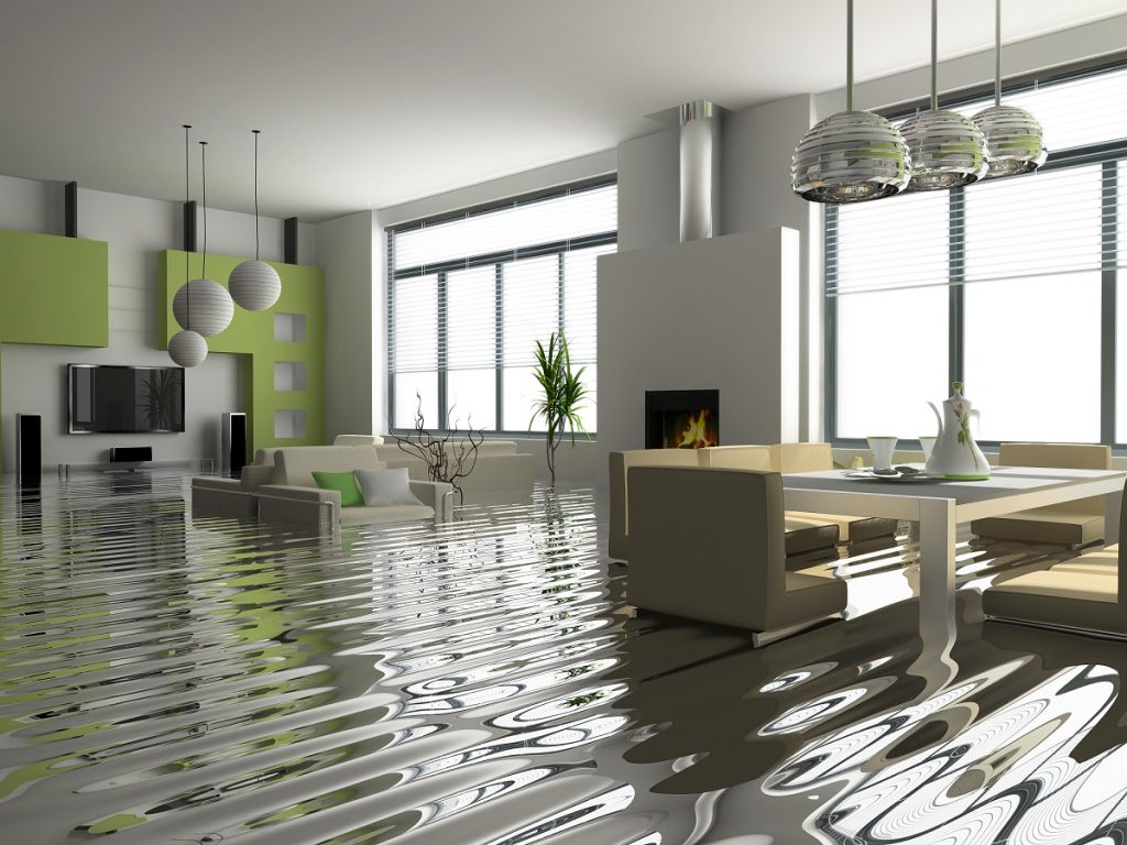 Standing Water in Home