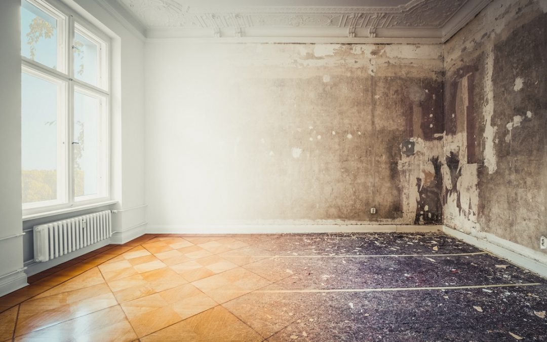 Tips for Choosing the Right Fire Damage Restoration Company