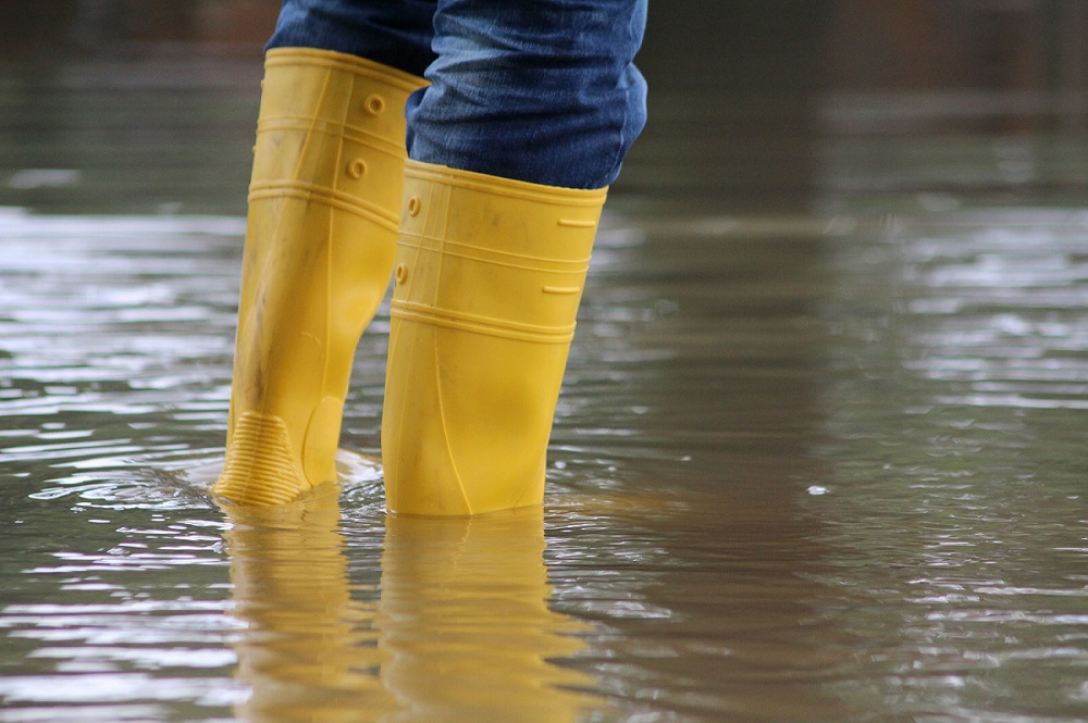 Boots in Water