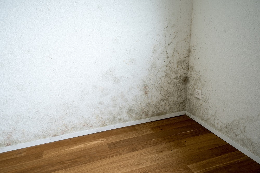 7 Poor Results of Ignoring Water Damage in Your Home