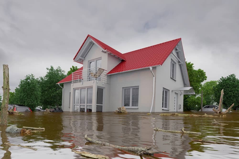 5 Important Steps To Take After A Flood